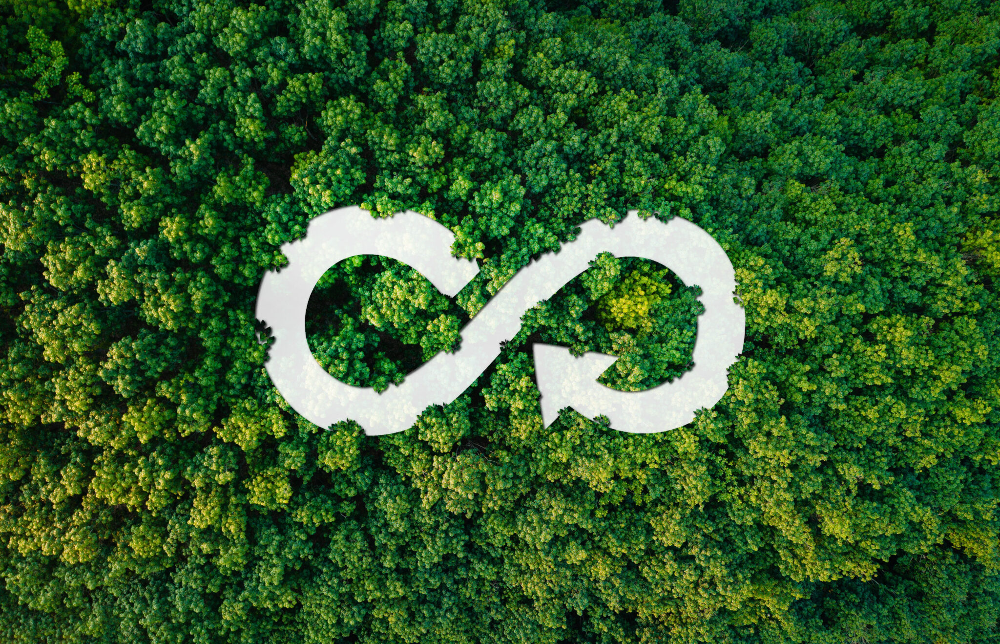 Ininite benefits of Small scale Energy from Waste (EfW)