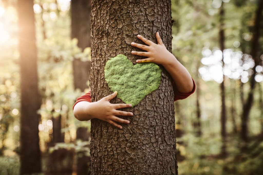 Save the world with renewable energy, monitoring, LED, solar install, and Energy from Waste EFW