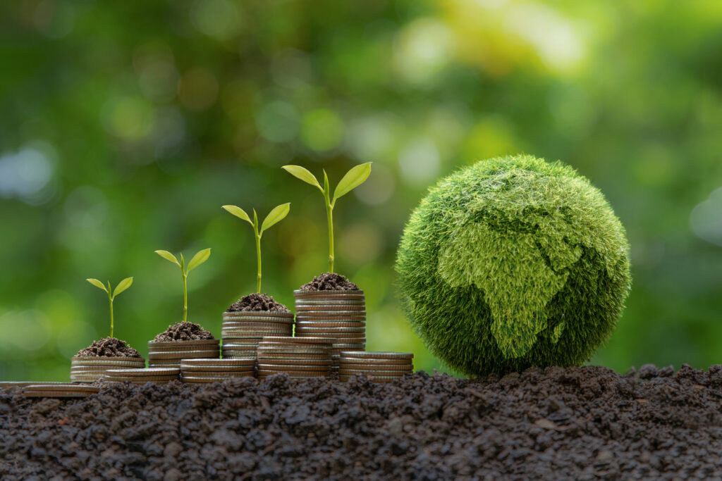 Sustainability Credentials