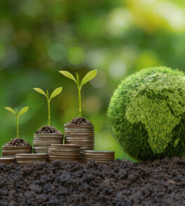 Green Globe with world map and stack of silver coins the seedlings are growing on top. Concept of Green business, finance and sustainability investment. Carbon credit. money saving investment.